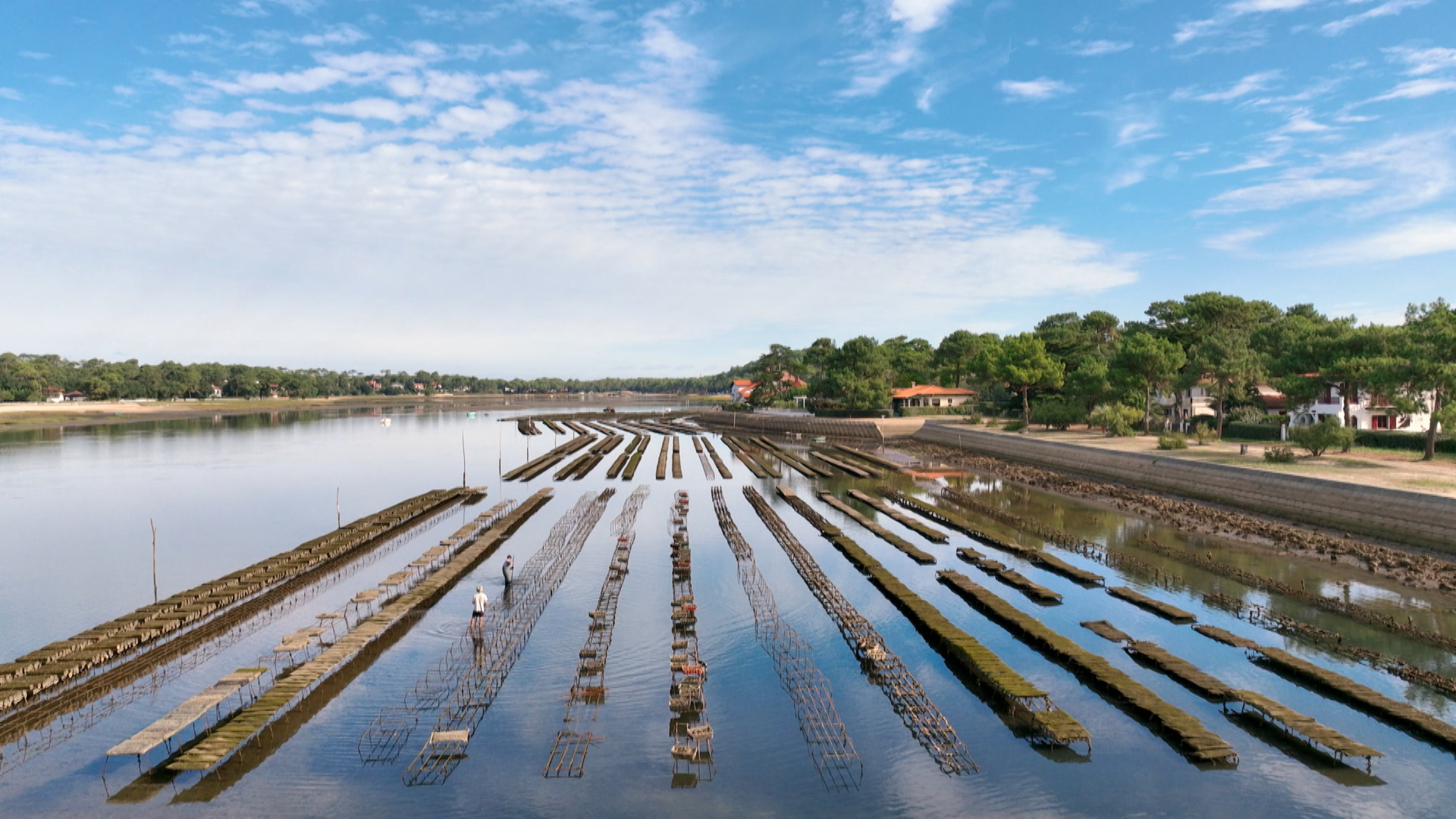 Parc à huitres au lac de Soorts-Hossegor