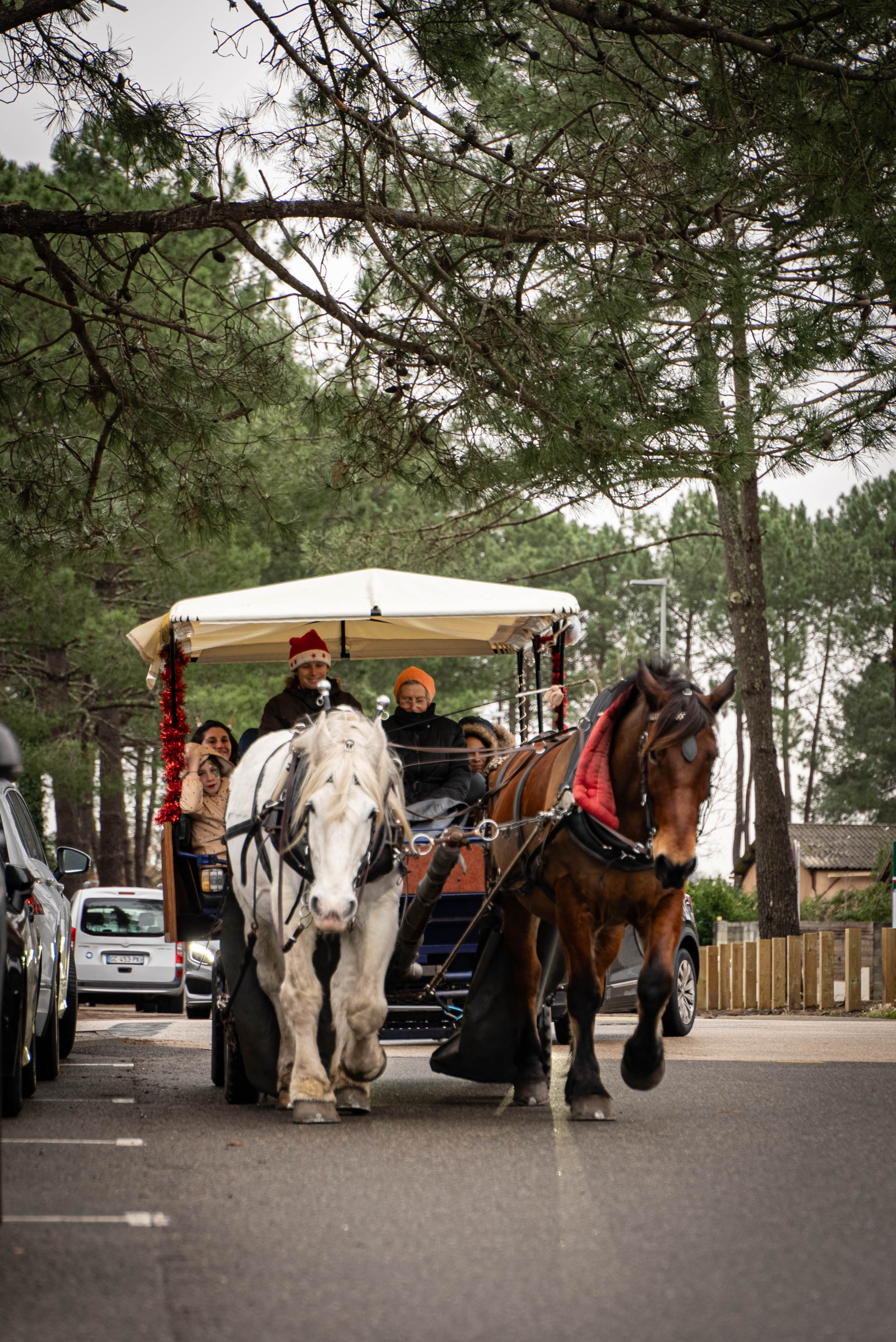 HOSSEGOR_2024_NOEL_PDBR-2