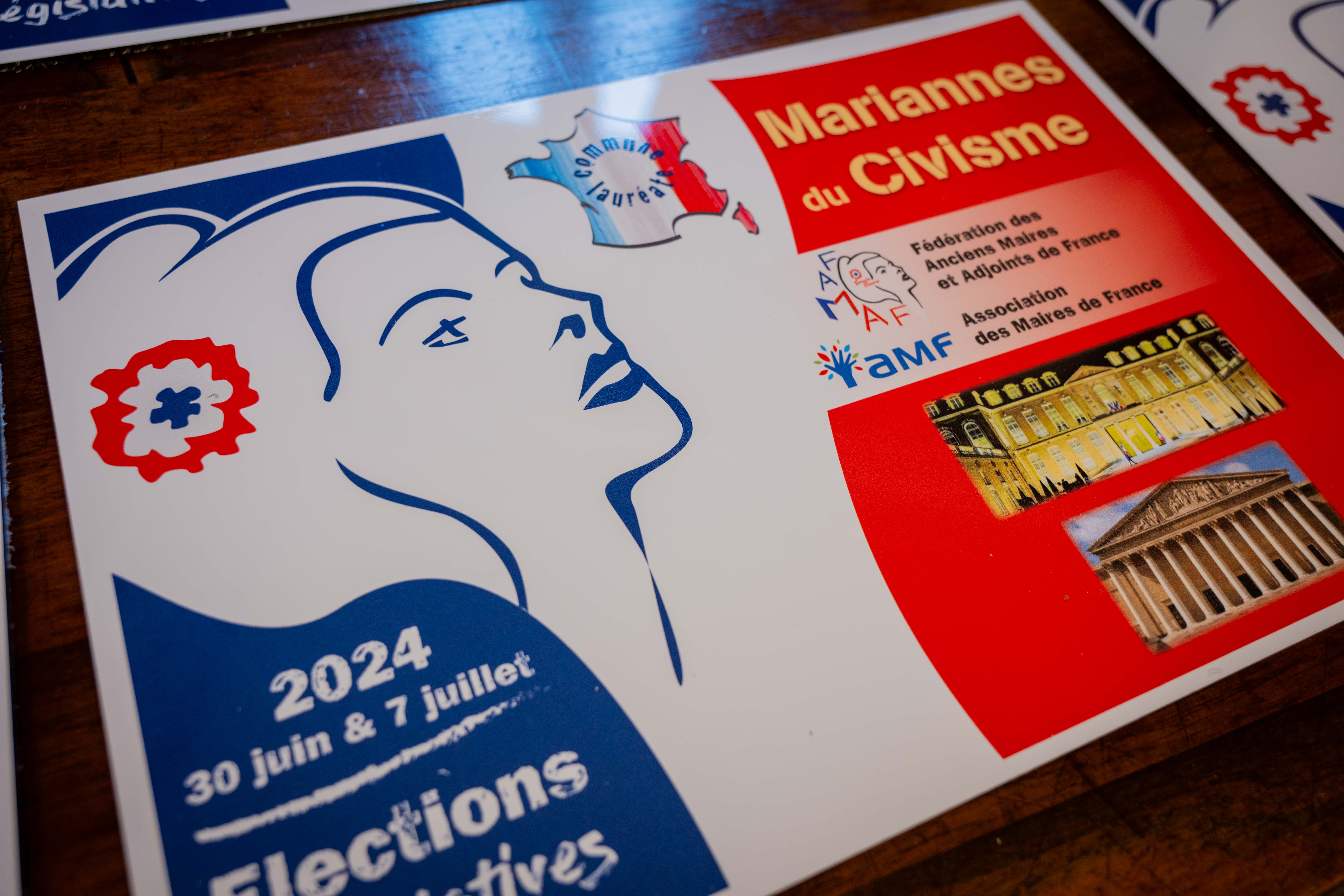 Photo de la pancarte Marianne du civisme 2025