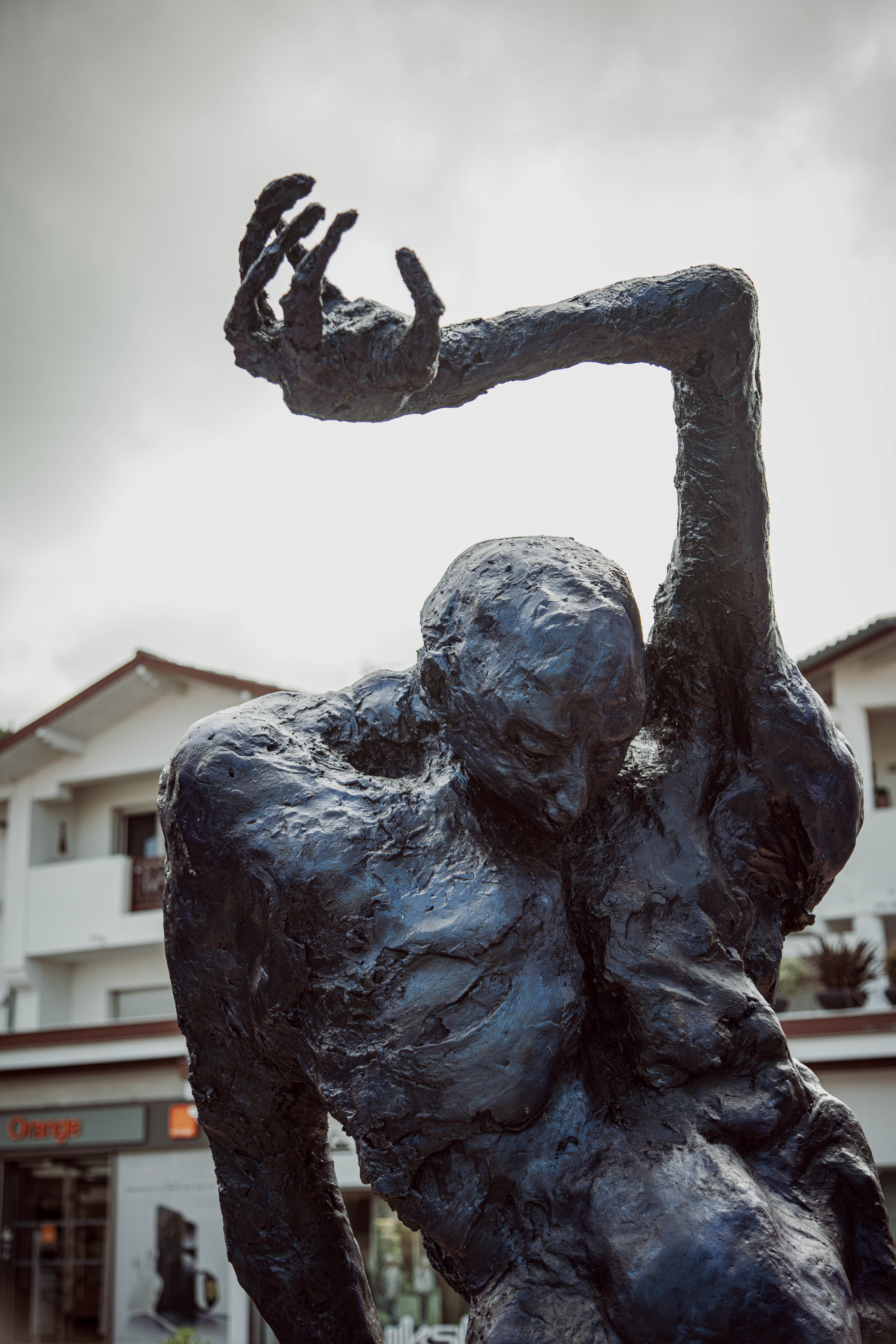 L'Homme qui marche - Lydie Arickx