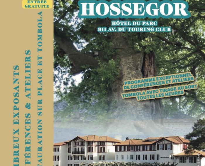 Affiches Hossegor nov (2) (1) (1)