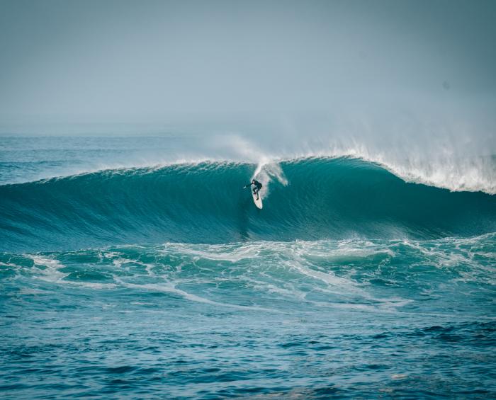 DSC05924DVDTRAN- (1)