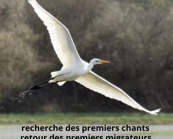 Votre texte de paragraphe - BARTHES 12 MAR