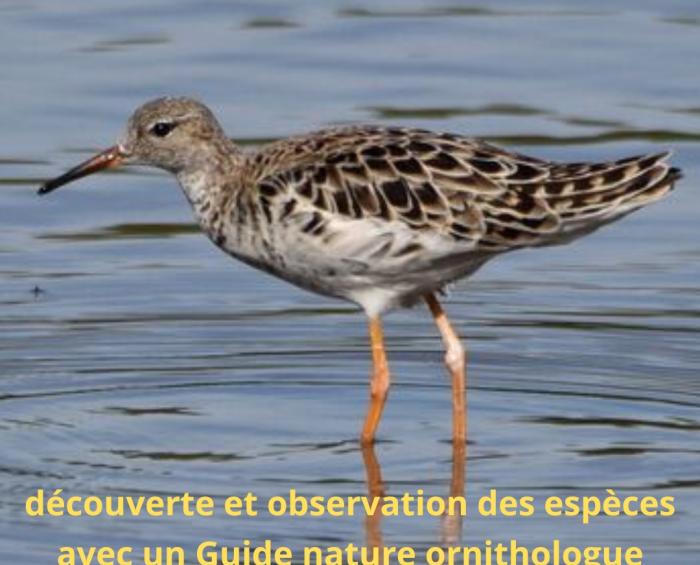 Votre texte de paragraphe - LAC MARIN 01 MAR